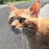 itsmelife48