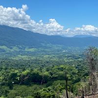 elcachorrodelosbuenos