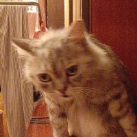 Млечный путь