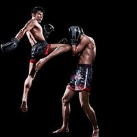 fight_scenes_best.fights