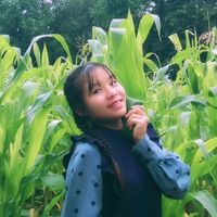emily.lily04