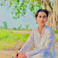 meersaif355
