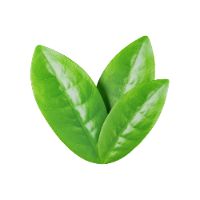 suara asli - deknirspqi6