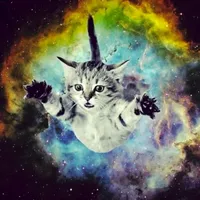 original sound - zushilover9