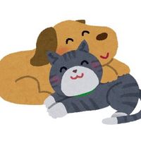 user8348011561343