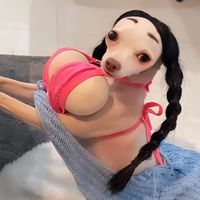 venus.boww