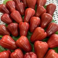 mai.canh123