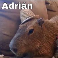 adrian_goq