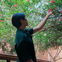 Gặp lại nhau khi mùa hoa nở nhé...