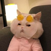 chompoou_miffy