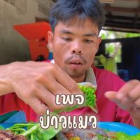 เสียงต้นฉบับ - Maew