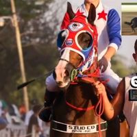 nestormontiel439