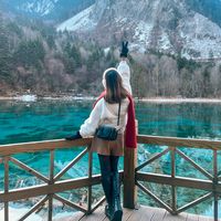 ty_8198.1