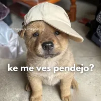 original sound - o__connell__