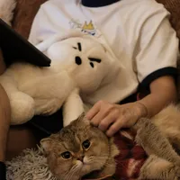 original sound - oniiiiiic_