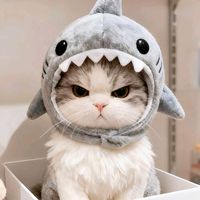 suara asli - cece🦖