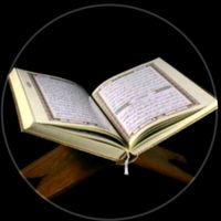 amir.amini720