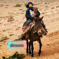 original sound - assmoun79