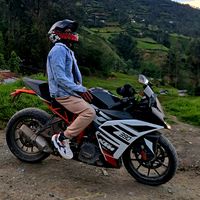 jaknertolentino