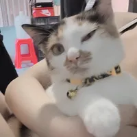 original sound - saowluck_