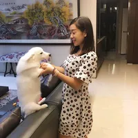 original sound - lili.5203