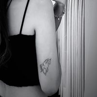 cc5201107_