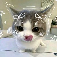 khayeturnsaffil