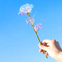 happy_0246