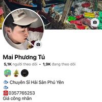 nhạc nền - Phương tú