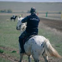 оригинальный звук