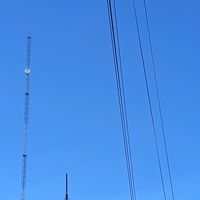 suara asli - amertasakala