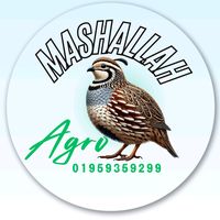 mashallahagro