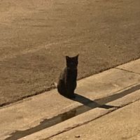 오리지널 사운드 - Cl_r