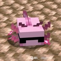 haxi_09