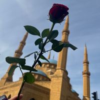 aminamkhalil5