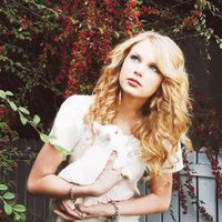 styleswifts