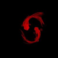 son original