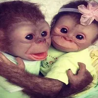 original sound - chloemcflurry67