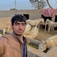 mian_husnain01