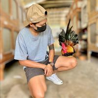 jiratfarm