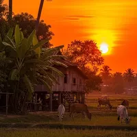យើងខ្មែរតែមួយ
