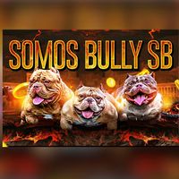 somosbullysb