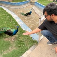 raiasif061