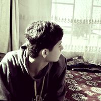 _bega_779