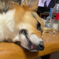 オリジナル楽曲 - Kiiii22