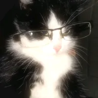 original sound - dear_me_000