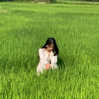 nhạc nền - 🌷