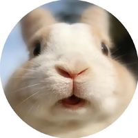 nhạc nền - HP宗QUYỀN⚡︎ɪdoʟ