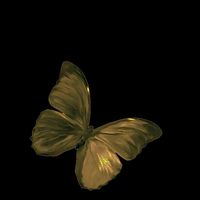 suara asli - hijrah.story✨