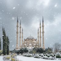 aynur2014ercan